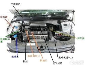發動機倉清潔,了解這些步驟自己也能做