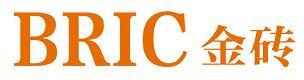 BRIC金磚全自動
